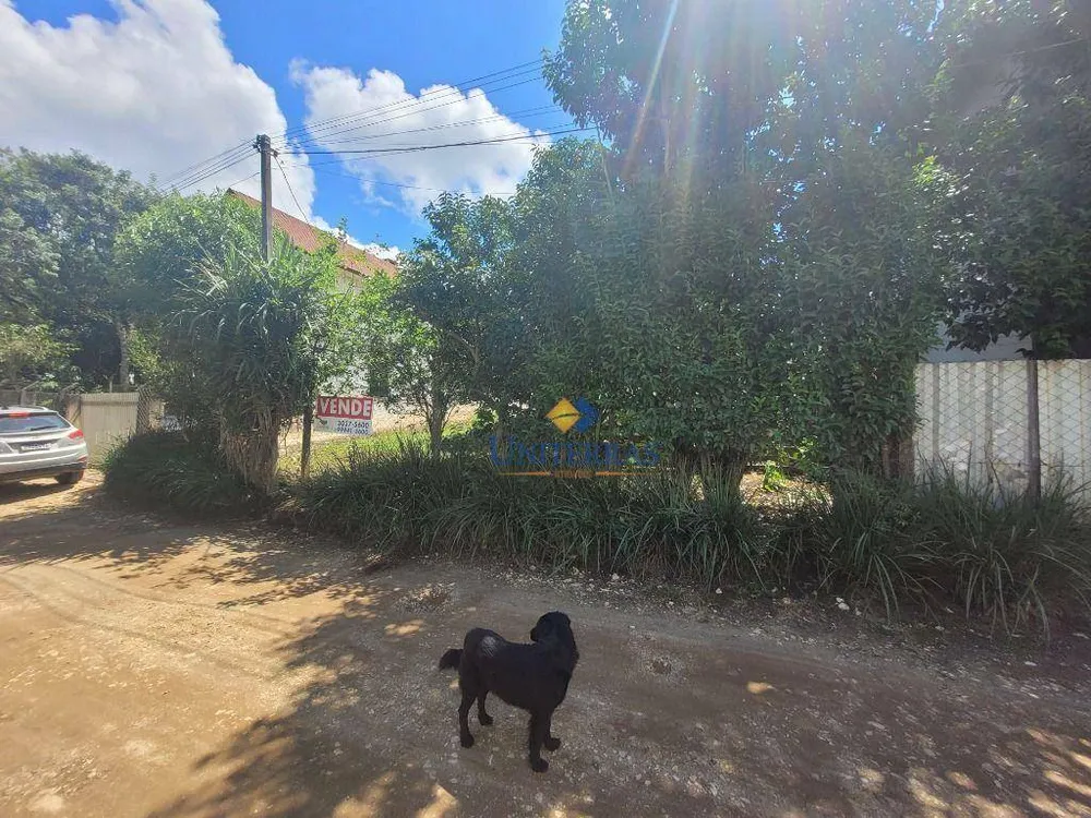 Terreno, 300 m² - Foto 8