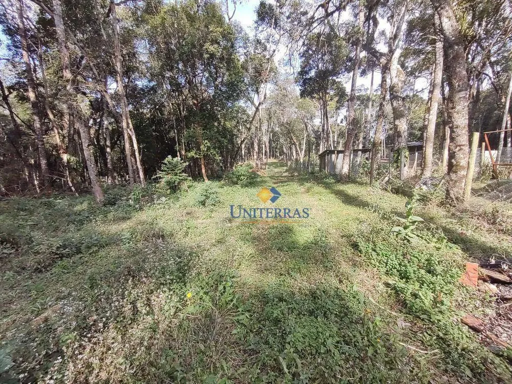 Chácara, 1 quarto, 1672 m² - Foto 6