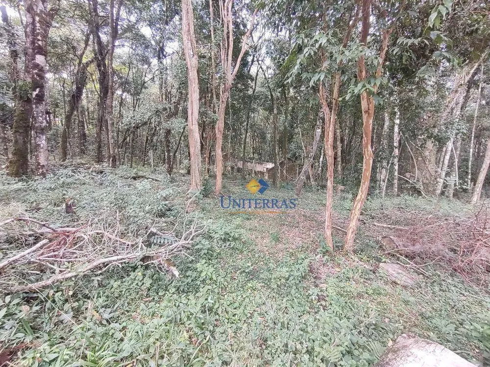 Chácara, 1 quarto, 1672 m² - Foto 11