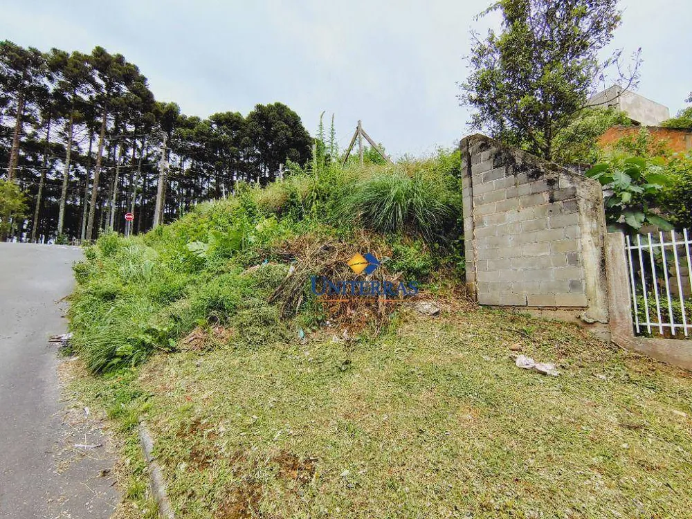 Terreno, 376 m² - Foto 6