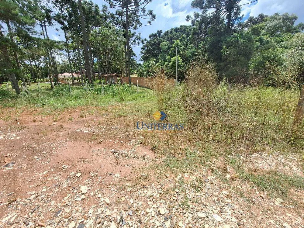 Chácara, 4000 m² - Foto 3