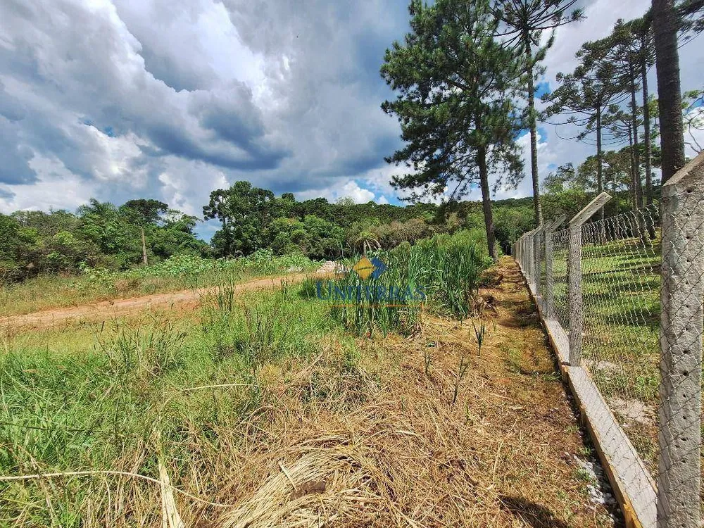 Chácara, 4000 m² - Foto 5