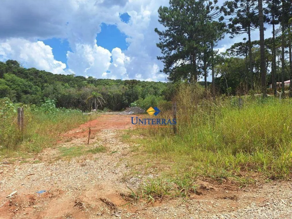 Chácara, 4000 m² - Foto 11