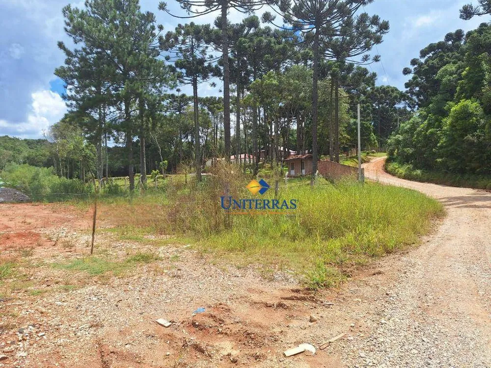 Chácara, 4000 m² - Foto 12