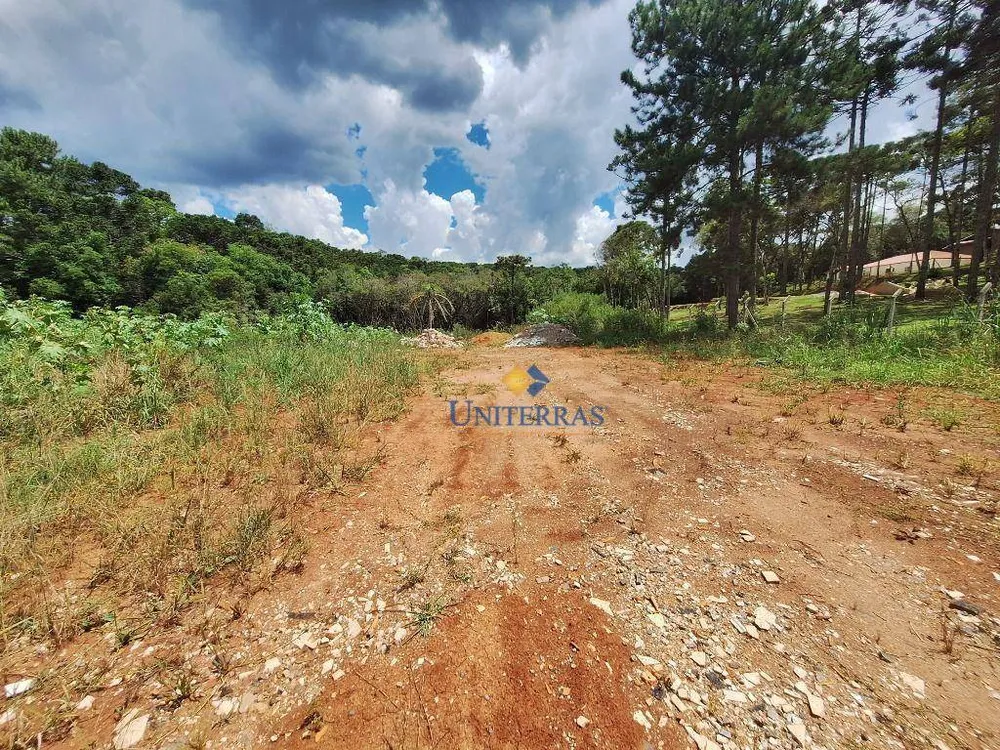 Chácara, 4000 m² - Foto 2