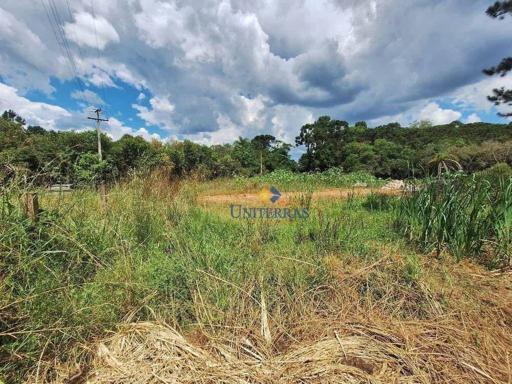 Chácara, 4000 m² - Foto 4