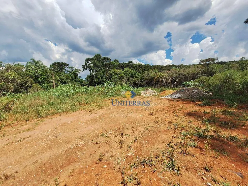Chácara, 4000 m² - Foto 6