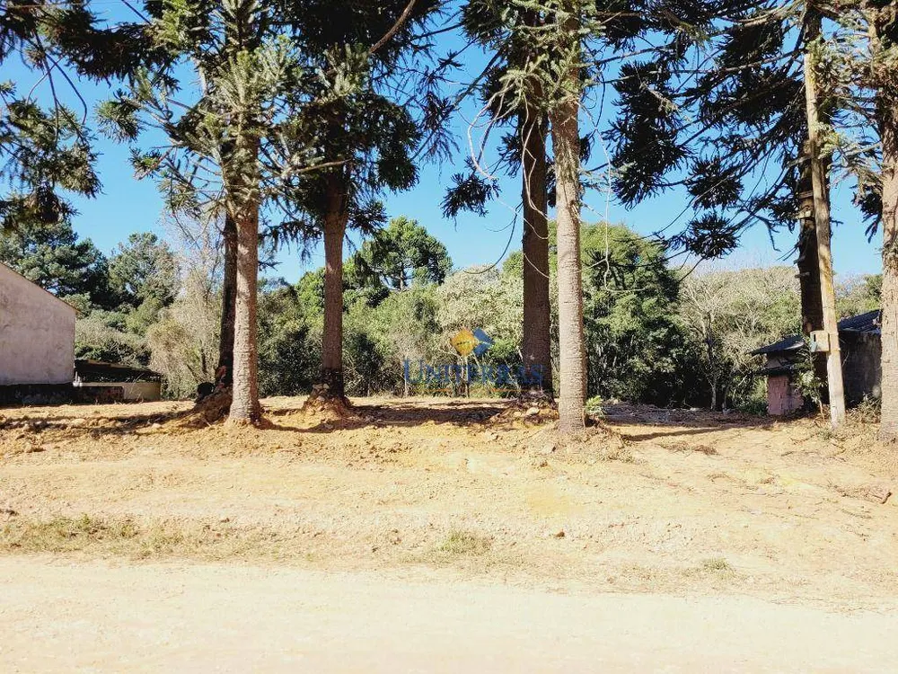 Terreno, 701 m² - Foto 7