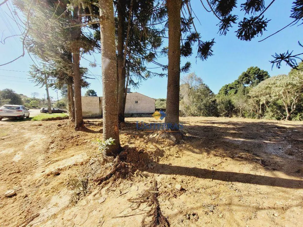 Terreno, 701 m² - Foto 8