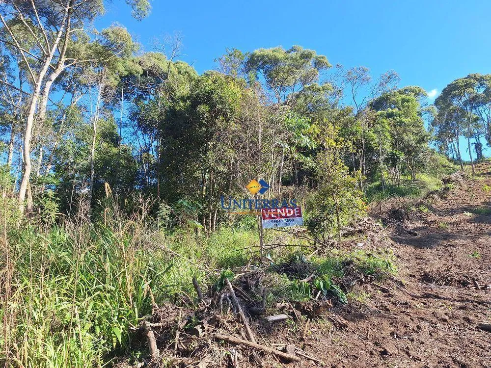 Terreno, 2000 m² - Foto 4