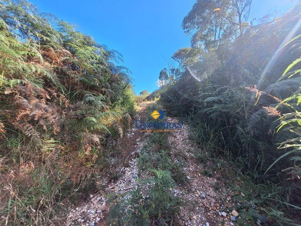 Terreno, 2000 m² - Foto 11
