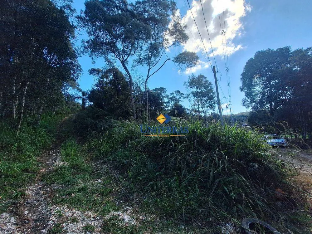 Terreno, 2000 m² - Foto 6