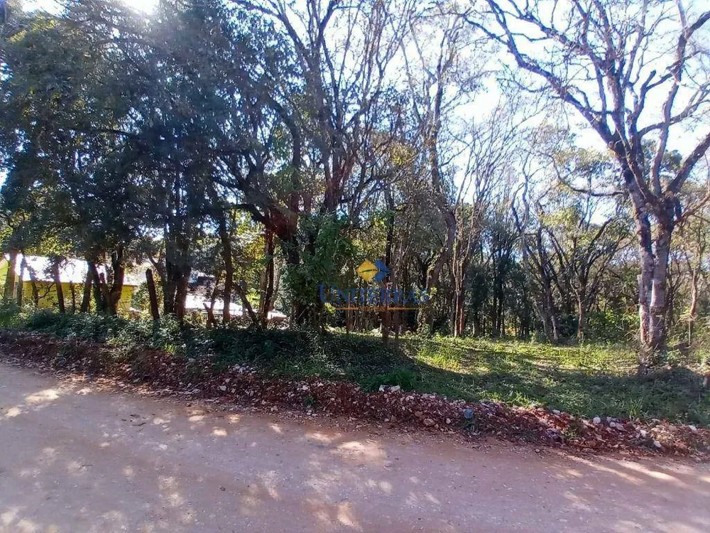 Terreno, 2000 m² - Foto 3