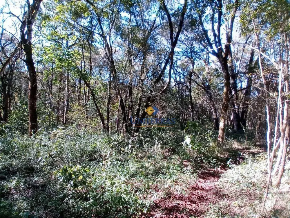 Terreno, 2000 m² - Foto 2