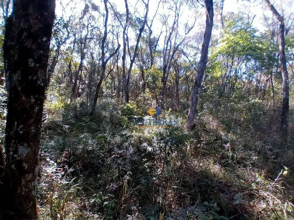 Terreno, 2000 m² - Foto 4