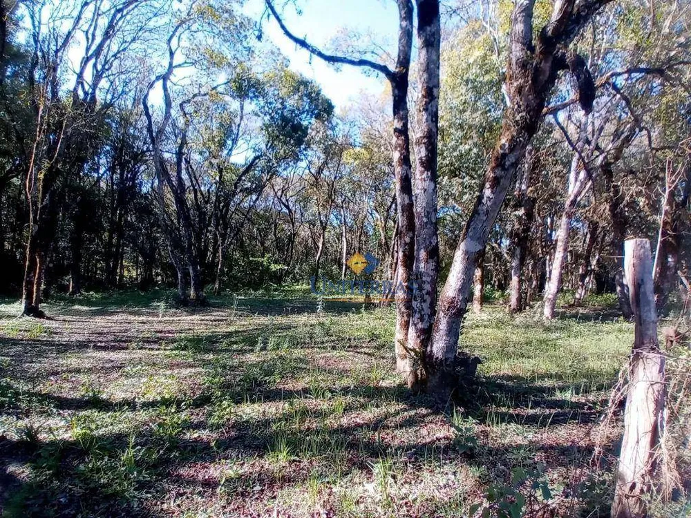 Terreno, 2000 m² - Foto 5