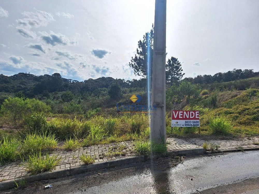 Terreno, 575 m² - Foto 3