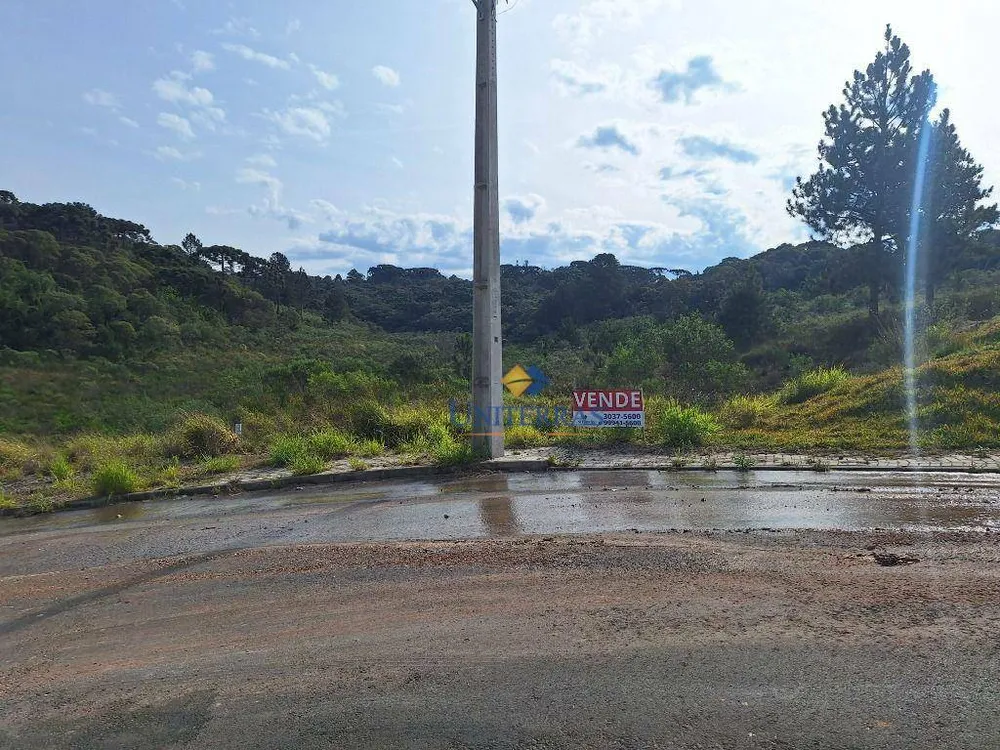 Terreno, 575 m² - Foto 6