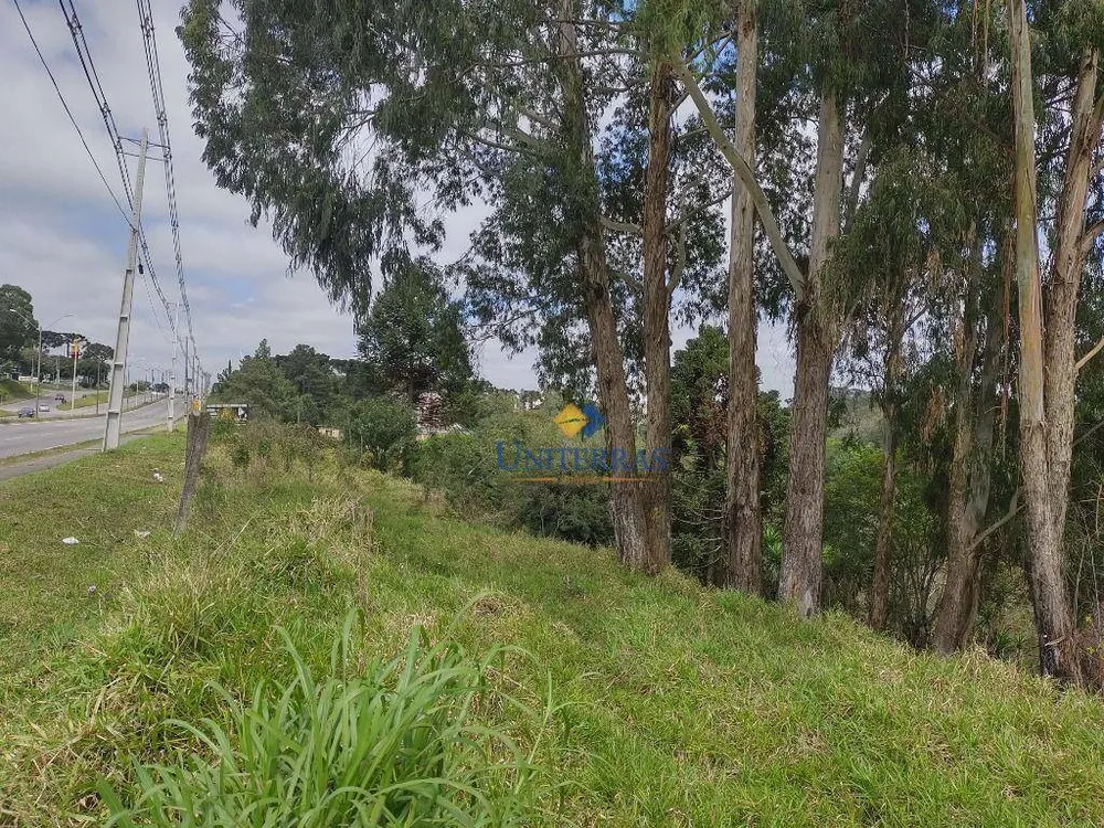 Terreno, 4360 m² - Foto 7