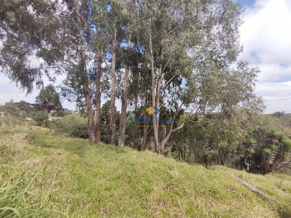 Terreno, 4360 m² - Foto 8