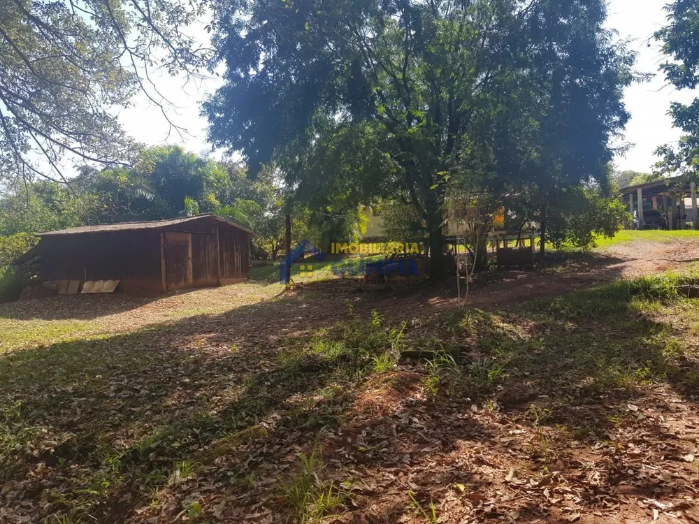 Chácara, 3 quartos, 3561 m² - Foto 3