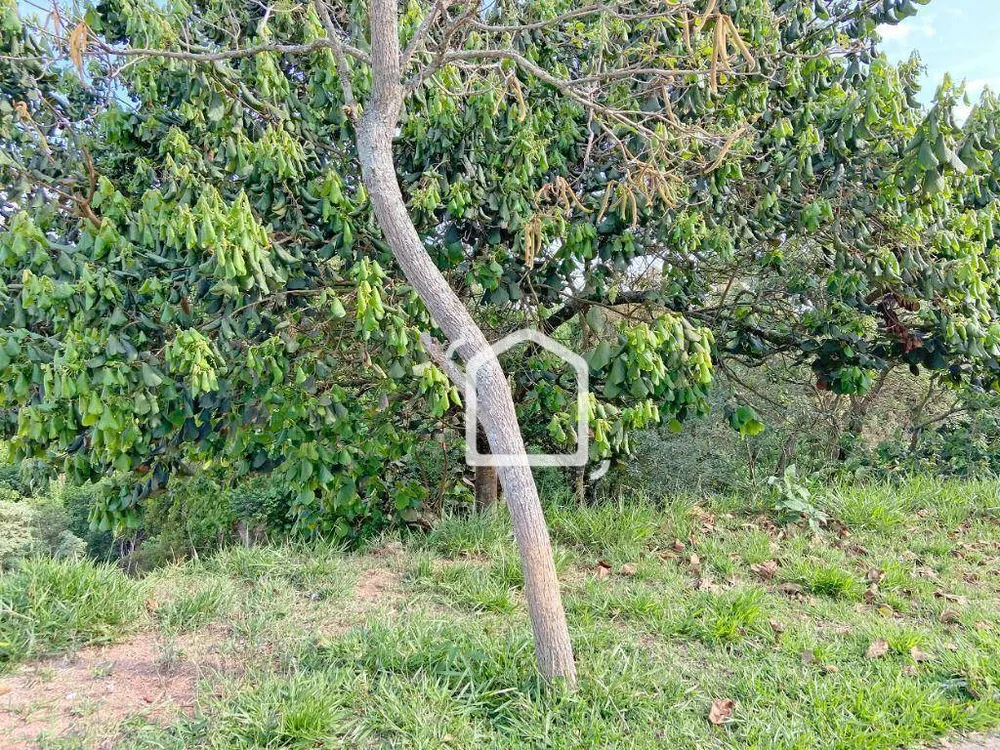 Loteamento e Condomínio, 898 m² - Foto 4
