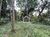 Terreno, 2 hectares - Foto 4