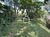 Terreno, 2 hectares - Foto 2