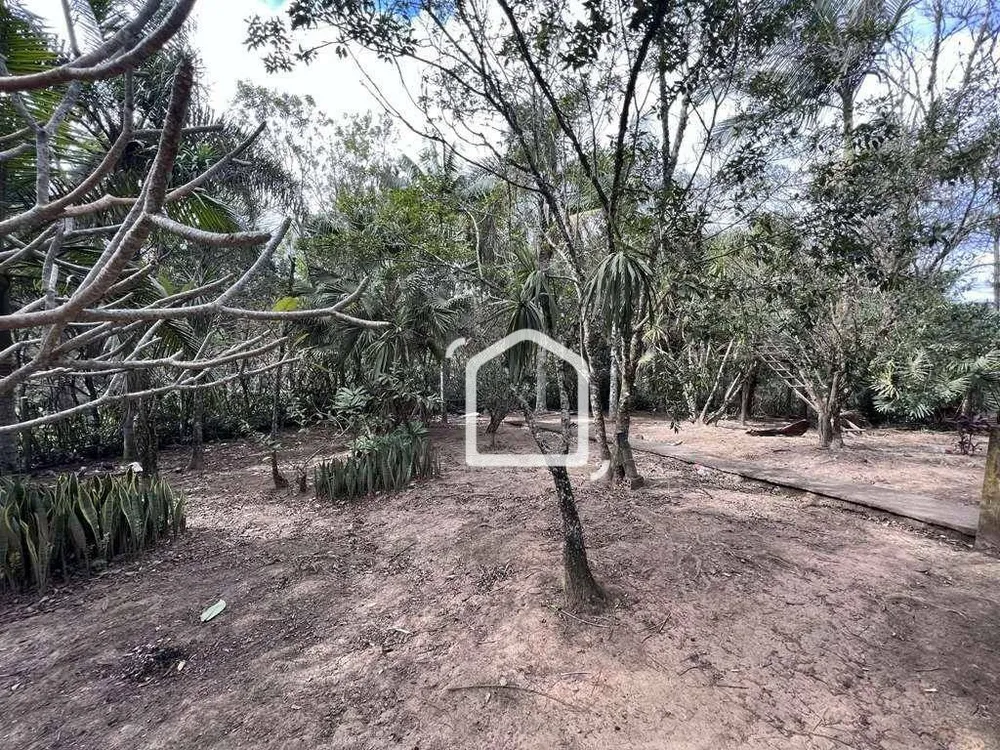 Terreno, 2 hectares - Foto 4