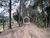 Terreno, 2 hectares - Foto 1