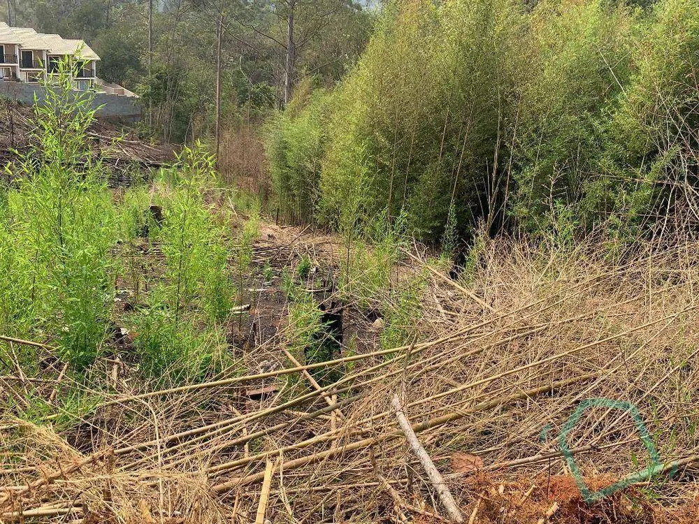 Terreno, 5000 m² - Foto 10