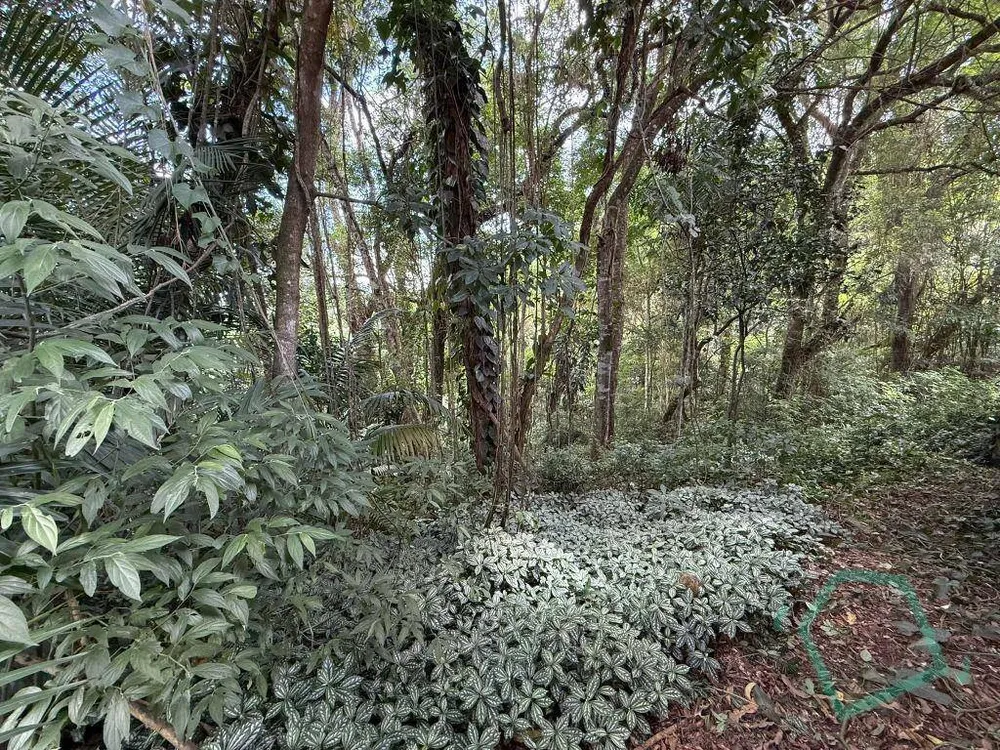 Terreno, 4500 m² - Foto 11
