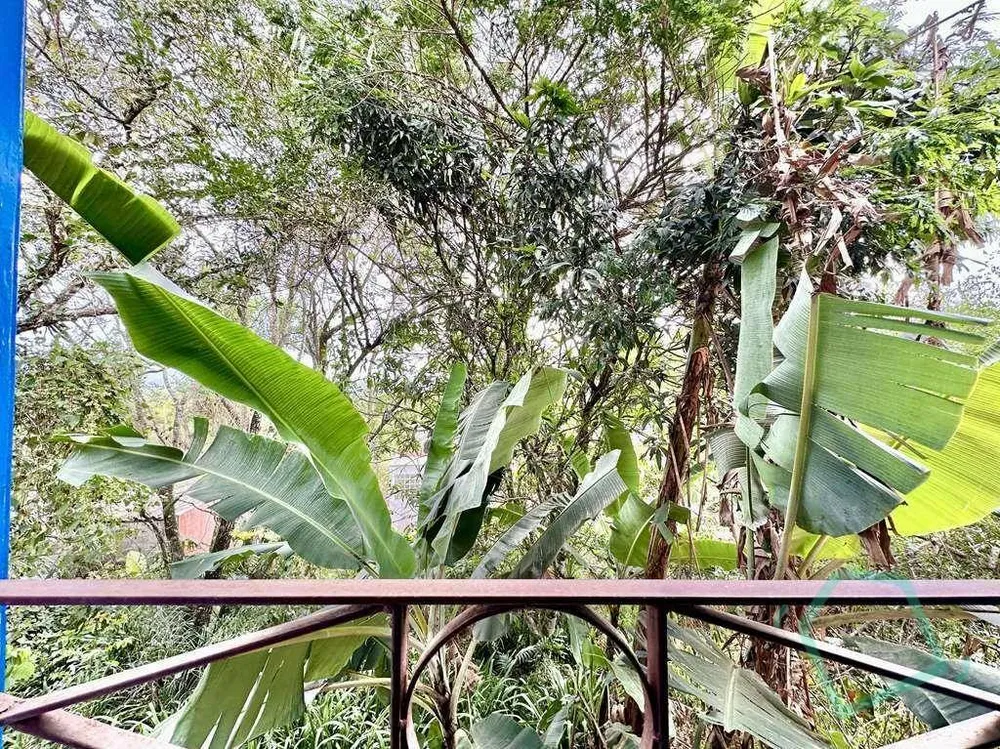 Casa, 4 quartos, 354 m² - Foto 7