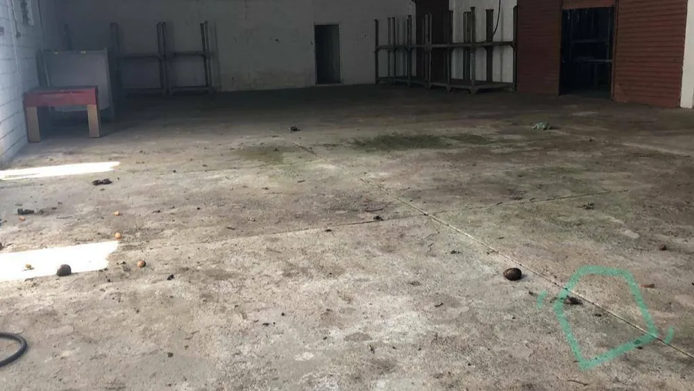 Depósito-Galpão, 1200 m² - Foto 6
