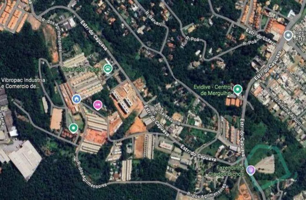Terreno, 10000 m² - Foto 5