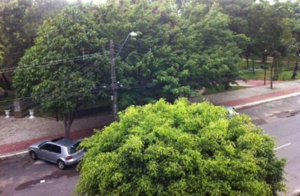 Apartamento, 3 quartos, 103 m² - Foto 8