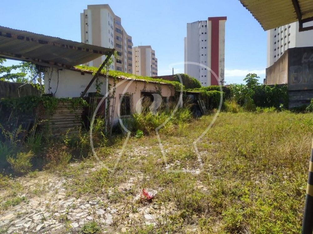 Terreno, 2600 m² - Foto 8