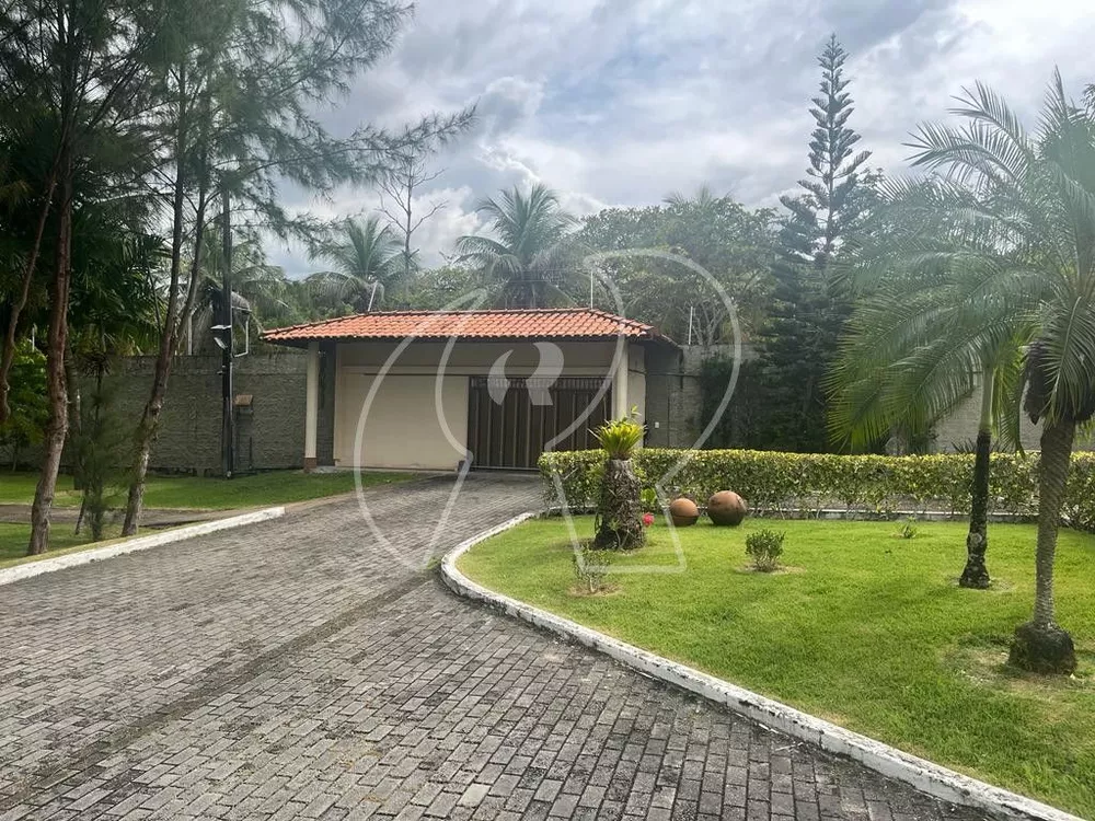 Casa, 4 quartos, 340 m² - Foto 6