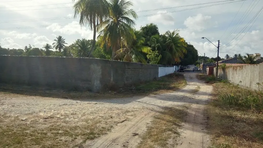 Terreno, 2 hectares - Foto 4