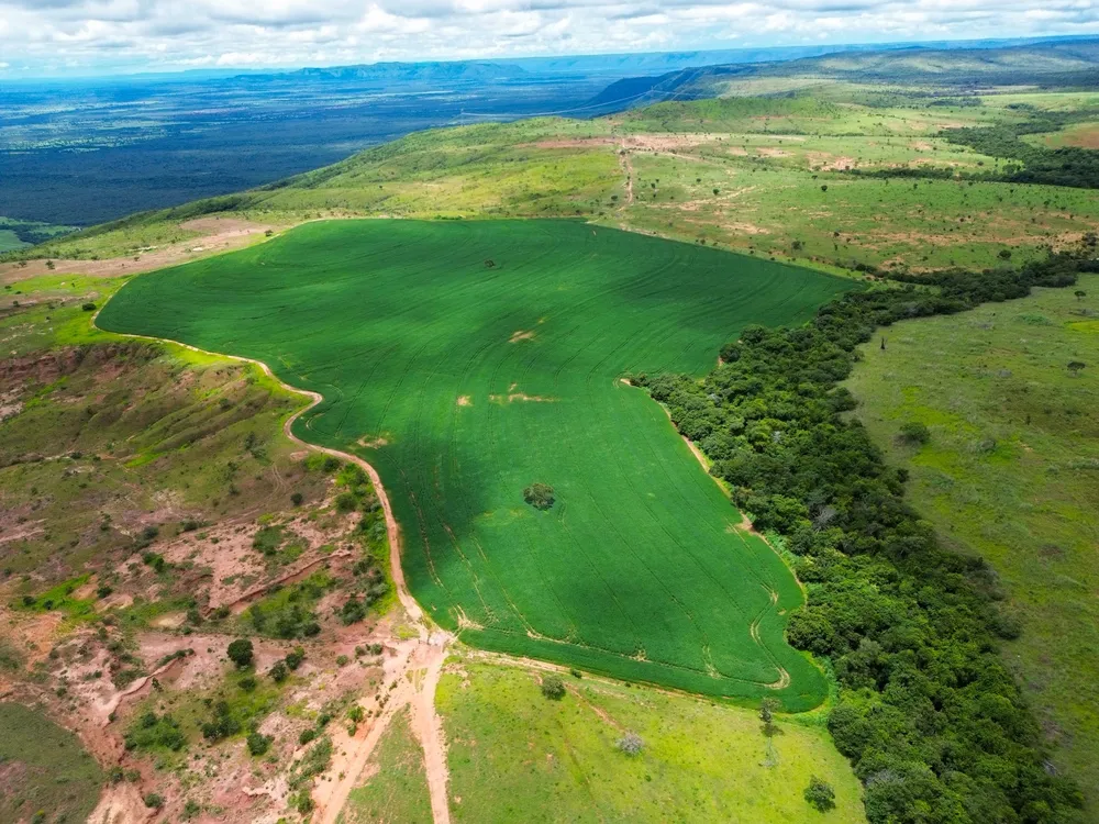 Fazenda, 1027 m² - Foto 6
