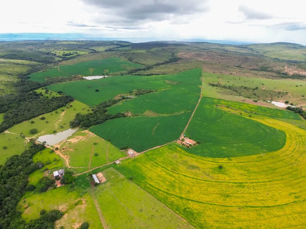 Fazenda, 1027 m² - Foto 8