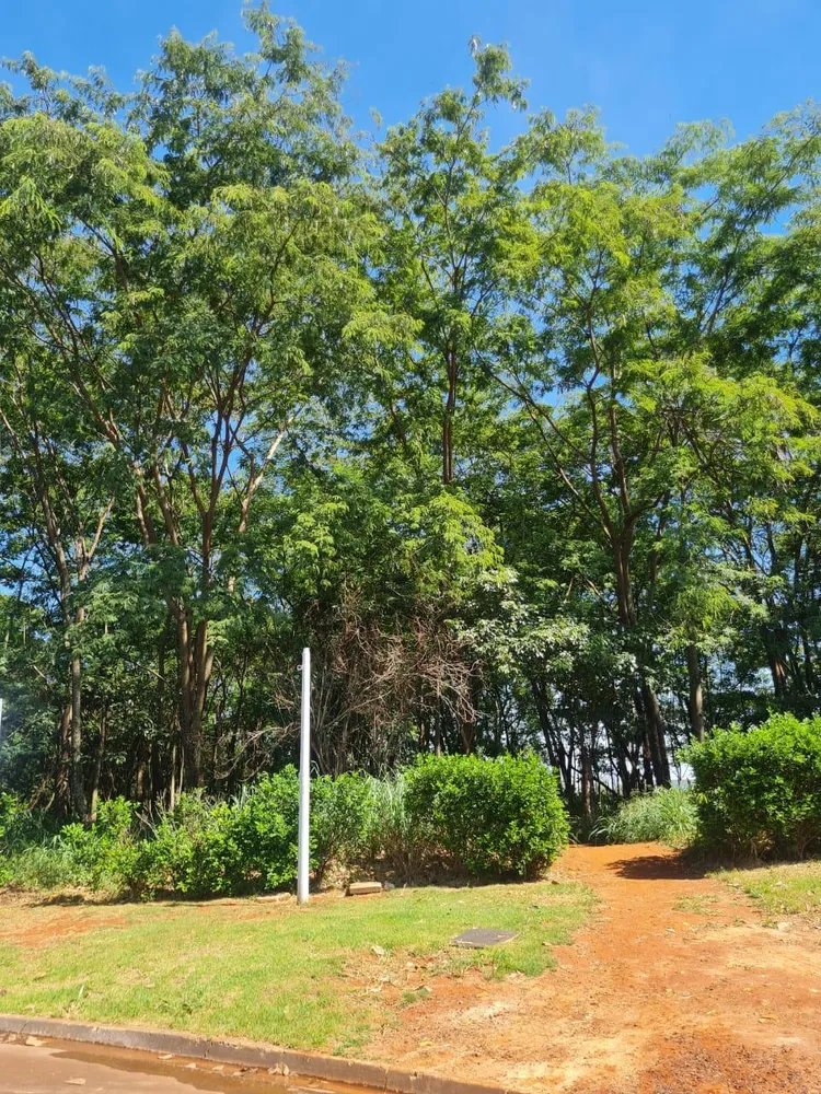 Terreno, 677 m² - Foto 7