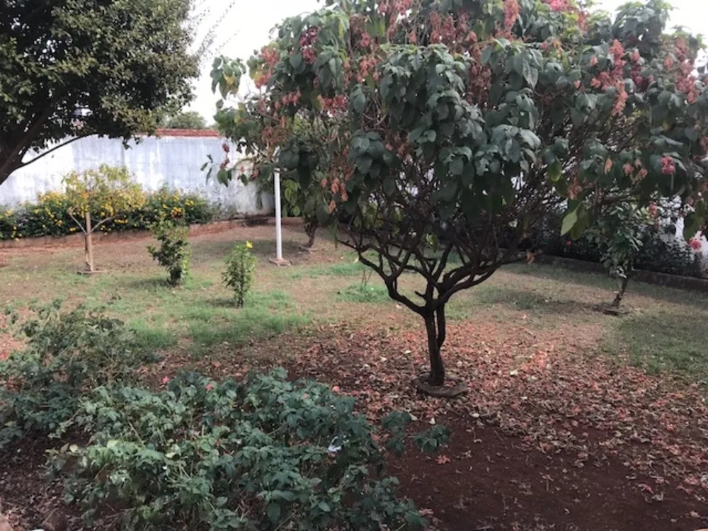 Prédio Inteiro, 295 m² - Foto 3