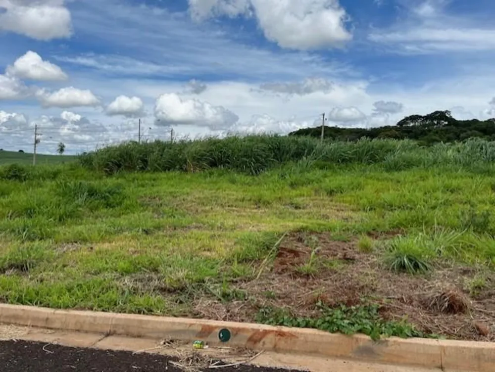 Terreno, 256 m² - Foto 1