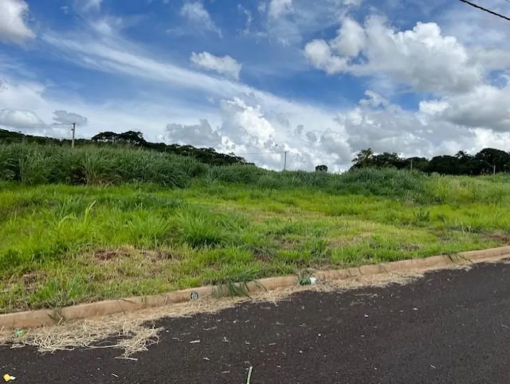 Terreno, 256 m² - Foto 4