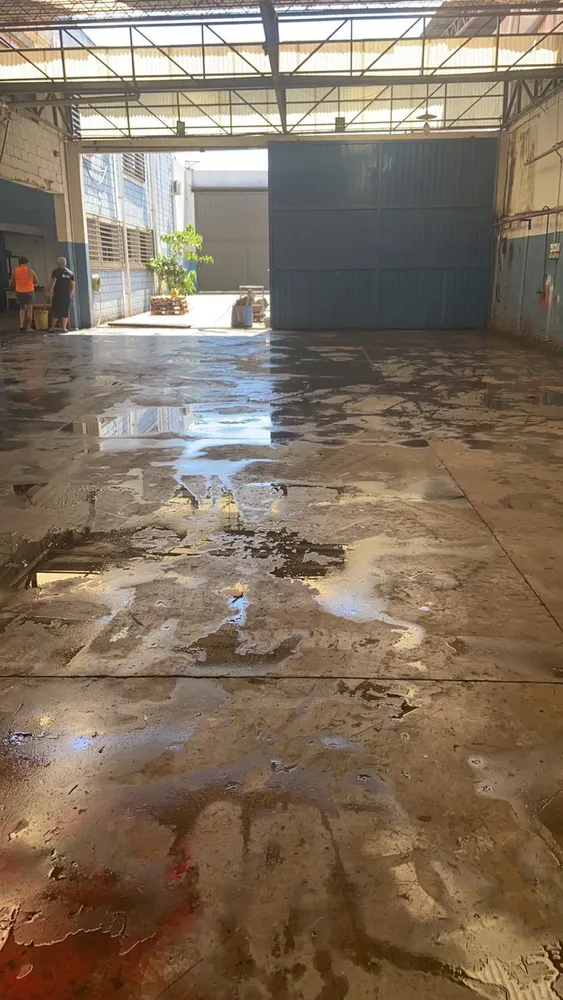Depósito-Galpão, 750 m² - Foto 5