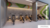 Sala-Conjunto, 835 m² - Foto 2