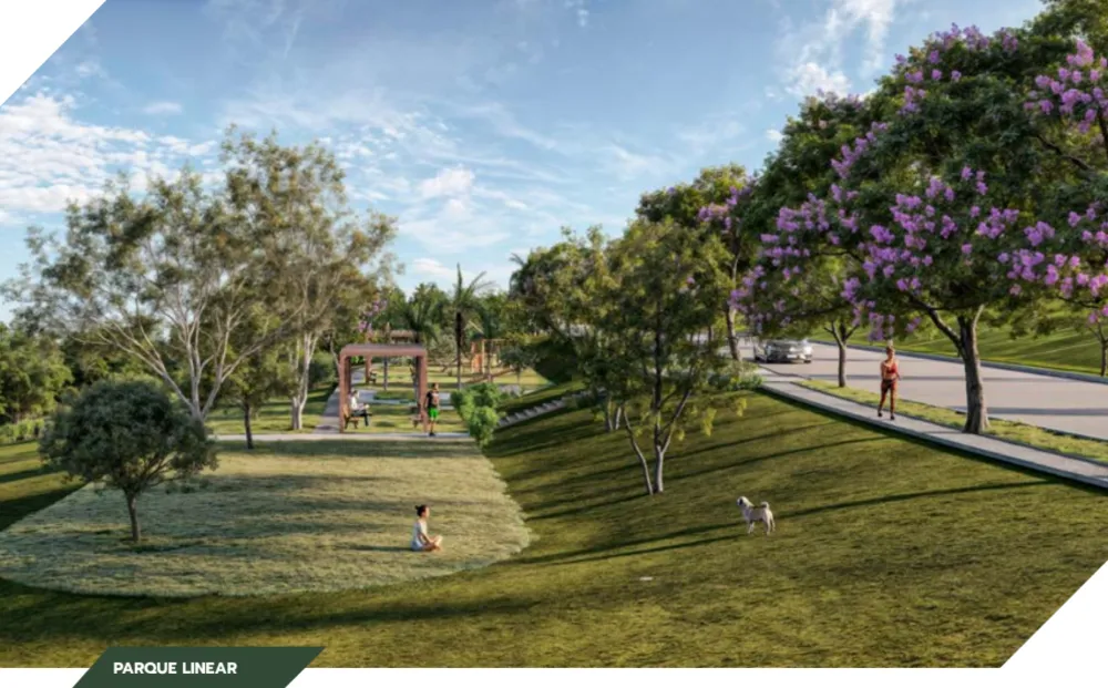 Terreno, 300 m² - Foto 9