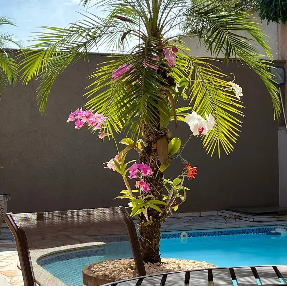 Casa, 4 quartos, 265 m² - Foto 7
