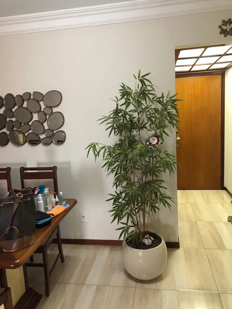 Apartamento, 3 quartos, 103 m² - Foto 3